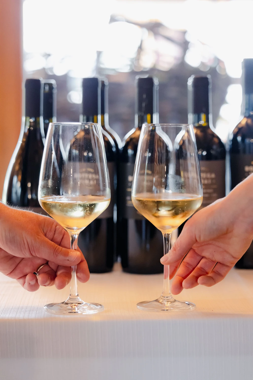 87220b_47b4bde632414499a908d3d1a7f3571d~mv2